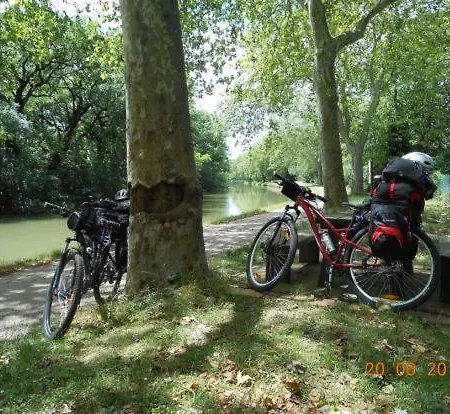 Castle Century Xii Soupex