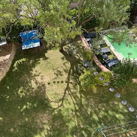 Castle Century Xii * Soupex